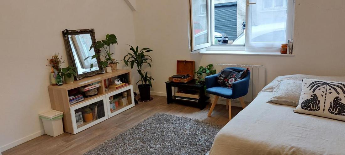 Studio Entièrement rénové à Louer Lille proche CHR